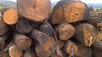 Chestnut logs and elements